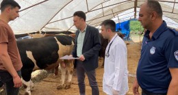 BELEDİYE KURBAN PAZARINI DENETLEDİ, KURBAN YAKALAMA TİMİ KURDU