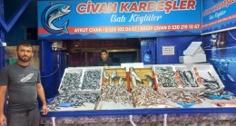 Kdzz Ereğli’de Hamsi Bolluğu