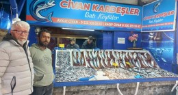 Balık Bollaştı Ereğli’de