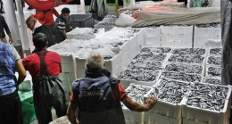 Hamsi Bollaştı Benı Alın Diye Yalvarıyor