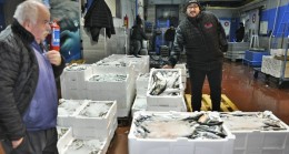 Palamut Sahaya İndi