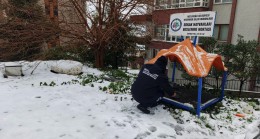 KDZ. EREĞLİ BELEDİYESİ SOKAK HAYVANLARINA SAHİP ÇIKIYOR