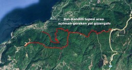 -BALI / KANDİLLİ TEPESİ ARASI ORMAN YOLU MUTLAKA AÇILMALI-