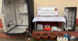 BASIN BÜLTENİ