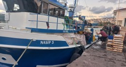 Kurucaşileli NASİP 3 Balıkçı Teknesi Palamut İçin Ereğli’de