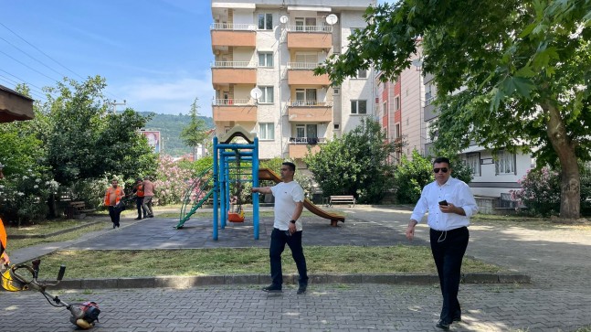 PIRIL PIRIL BİR DEVREK İÇİN…