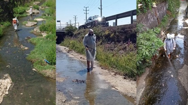 KDZ. EREĞLİ’DE DERE YATAKLARI VE SULAK ALANLAR İLAÇLANIYOR