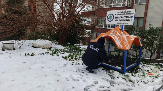 KDZ. EREĞLİ BELEDİYESİ SOKAK HAYVANLARINA SAHİP ÇIKIYOR