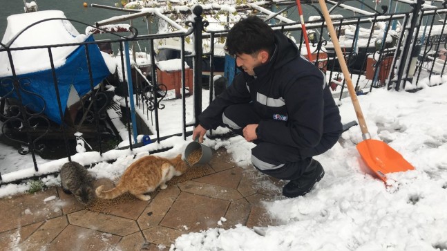 KDZ. EREĞLİ BELEDİYESİ SOKAKTAKİ CANLARI UNUTMADI