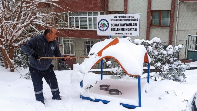 KDZ. EREĞLİ BELEDİYESİ, SOKAKTAKİ CANLARI UNUTMUYOR