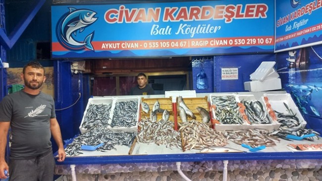 Kdzz Ereğli’de Hamsi Bolluğu
