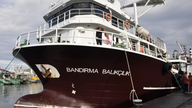 Bandırma Balıkçılık Gırgırı ve Hicaz 6 Gırgırı Ereğli’de