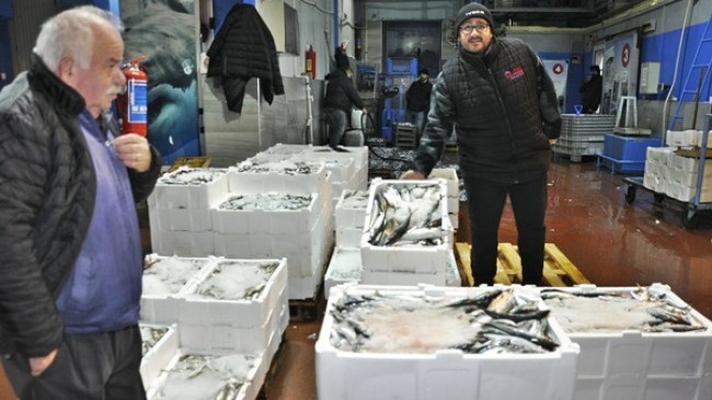 Palamut Sahaya İndi