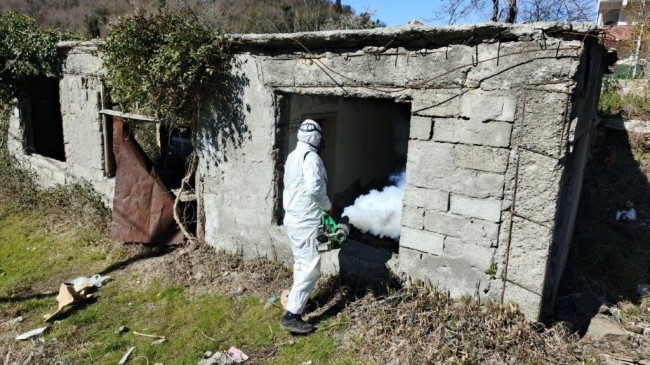 KDZ. EREĞLİ BELEDİYESİ, ZARARLILARLA KAYNAĞINDA MÜCADELE EDİYOR