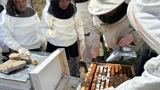Hasbeyler arıcılığı Öğreniyor: Eğitimler sahaya taşındı
