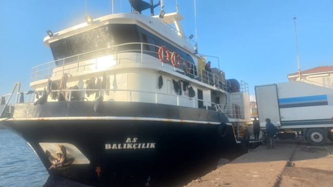 Çanakkale Bigalı AS Balıkçılık Gırgırı Ereğli’de